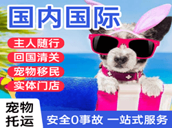 海口美兰航空货运国际宠物托运 【国